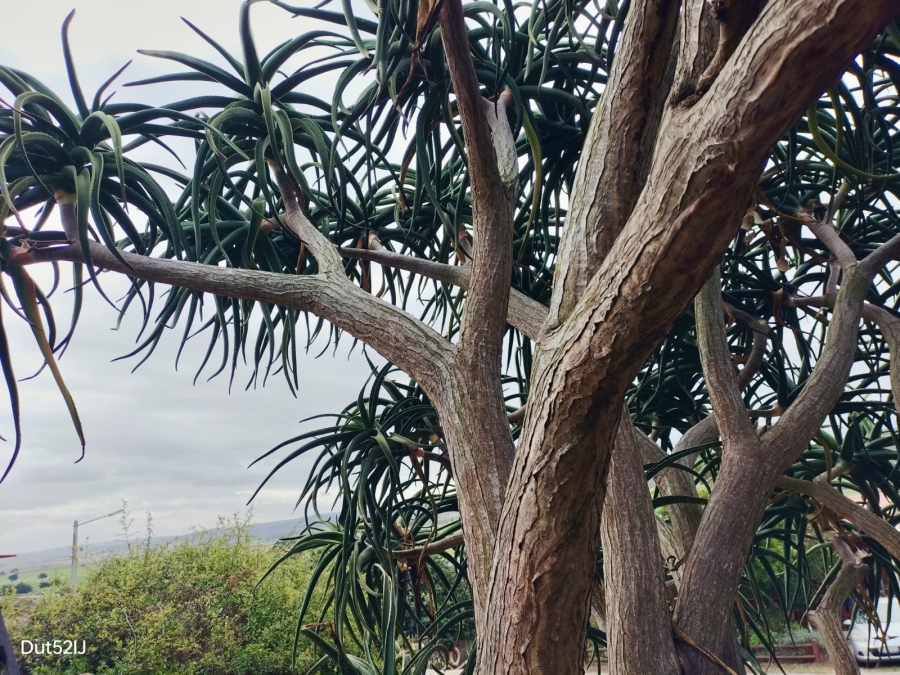 3 Bedroom Property for Sale in Fraaiuitsig Western Cape